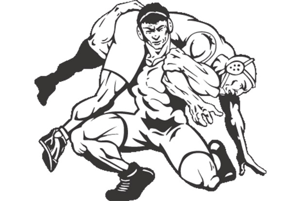 Vinesh, Sakshi bag gold in Senior National Wrestling