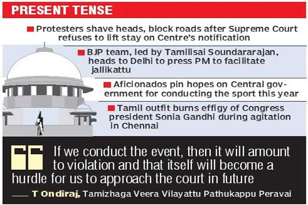 Southern districts on the boil as SC shuts gates for jallikattu
