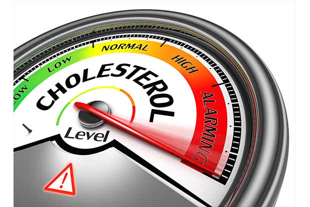 Study says cholestrol rate highest in Tamil Nadu