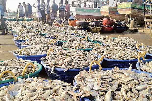 Load men block clearance of sardines