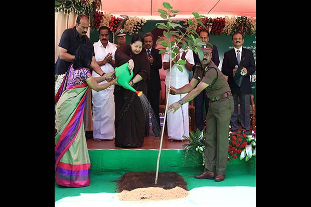 A push for green cover across Tamil Nadu