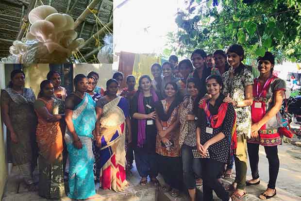 Slum women trained to grow mushrooms
