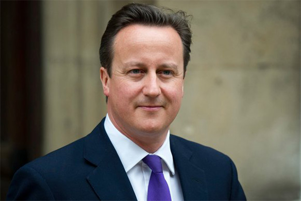 David Cameron moots EU referendum
