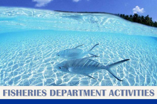 Fisheries department to go in for modernisation
