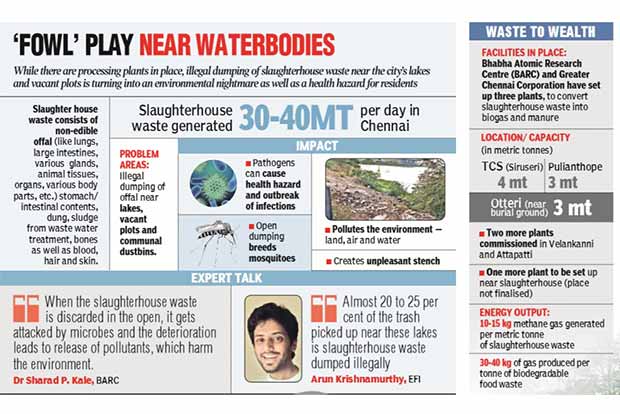 Slaughterhouse waste finds its way into lakes