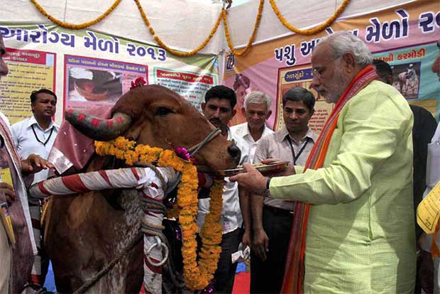 6 Bizarre Beef Ban controversies in India