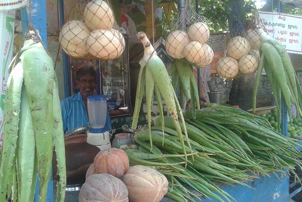 Vendors go trendy with aloe vera, ice apple mocktails
