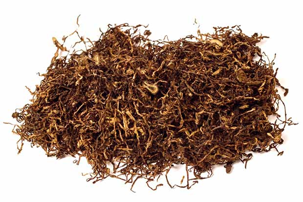 Delhi bans all forms of chewable tobacco