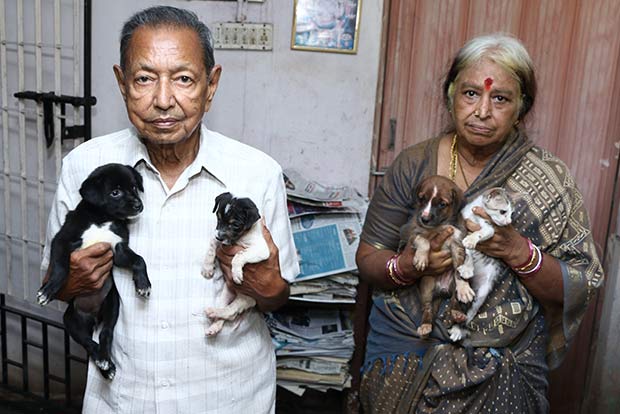 Elderly couple gives strays a new lease of life