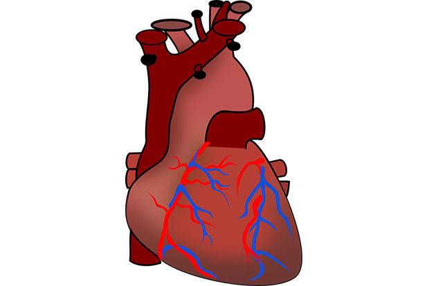 Heart Matters: Heart does not understand religion: Part-1