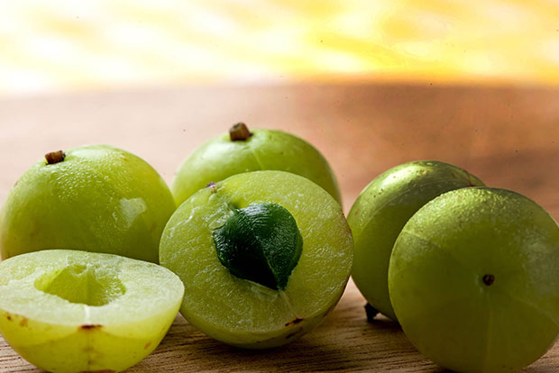 Grandmas wisdom: Gooseberry so good