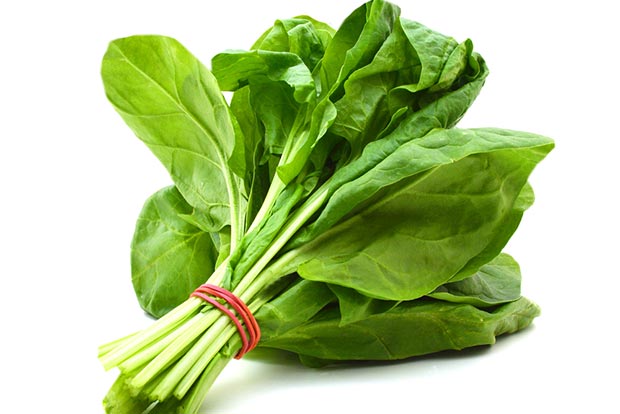 Grandmas Wisdom: Why spinach is super healthy
