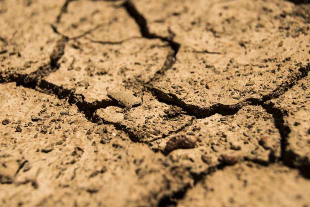 Bengal assessing situation before declaring drought