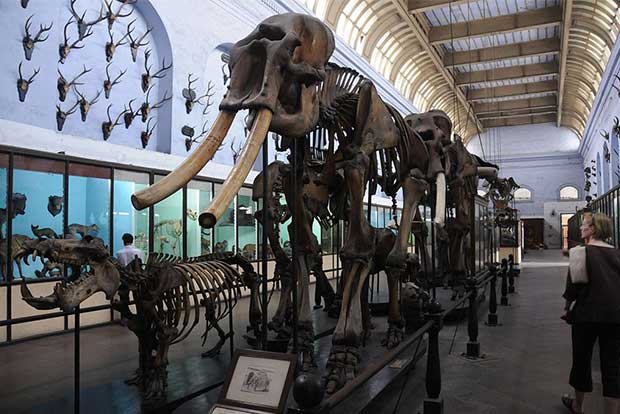 Indian Museum collection goes online with Google