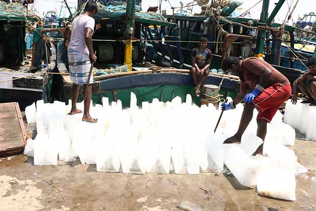 Mechanised boat owners hopeful of big catch on Day 1 Mechanised boat owners hopeful of big catch on Day 1