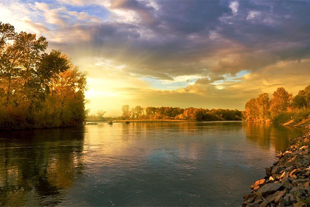 Heart Matters: We are merely witnesses – Part 2