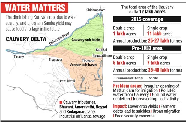Delta yield dips due to depleting groundwater, industrial pollution