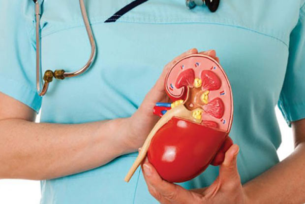 Namakkal kidney racket probe widens as State panel digs deeper Namakkal kidney racket probe widens as State panel digs deeper