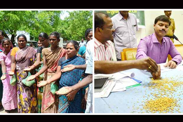 Farmers vent ire with paddy in their hands
