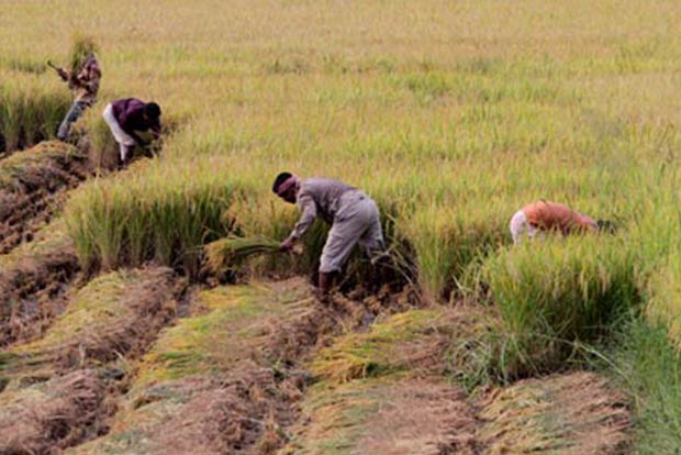 Farmers use crowdfunding to combat drought