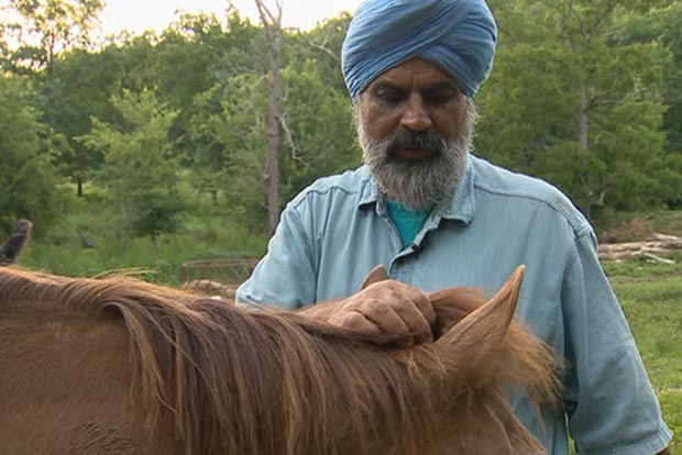 Sikh man fears hate crime after horse shot dead