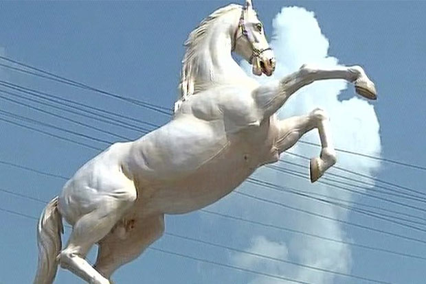 Shaktiman loses political patronage, statue removed in 2 days