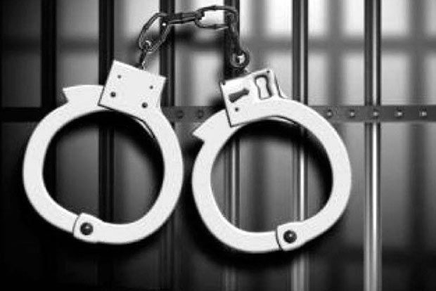 Farmer arrested for elephant calf’s death Farmer arrested for elephant calf’s death