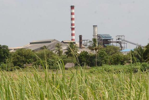 Cane growers plan protest to demand arrears payment