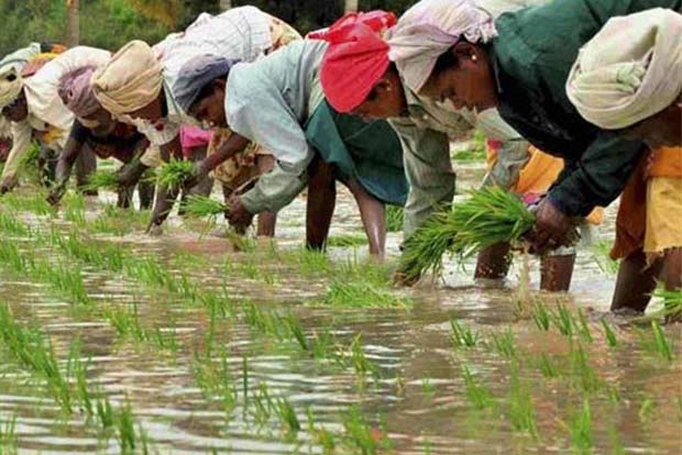 Farmers plan protest at 1,000 spots