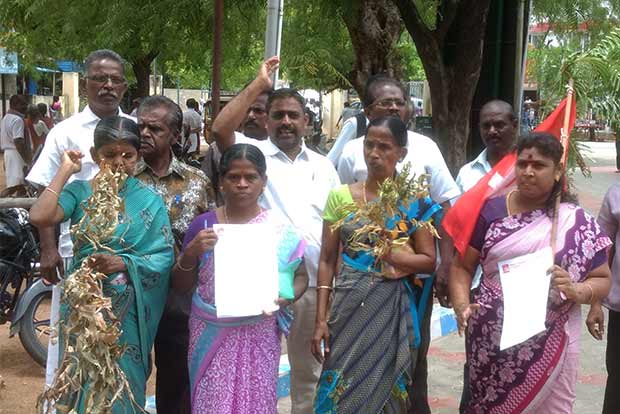 CPM demands action against church admin for ‘killing’ six 100-year-old trees