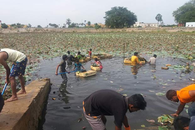City NGO helps restore water bodies in suburban areas