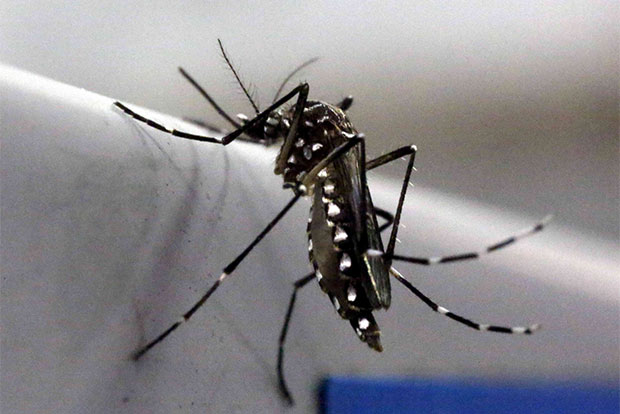 Two septuagenarian men infected with Zika virus in Kolhapur; both have recovered, says official
