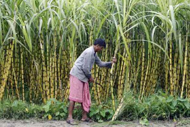 Mysuru ryots seek compensation