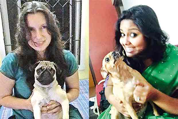 When social media turns Sherlock, finds lost pets