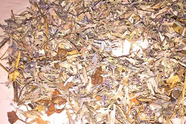 Torn notes in Panruti: CB-CID finds no link to train heist