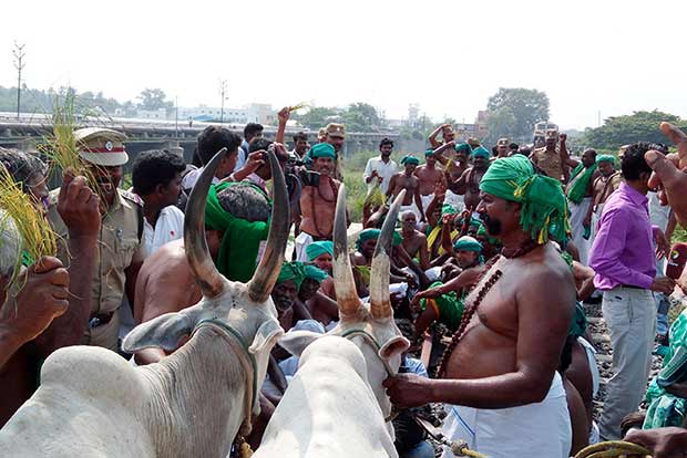 Central districts suffer worst due to big turnout of ryots