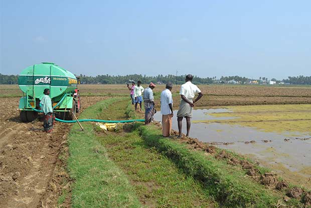 Thanjavur farmers buy water at high costs to save nurseries