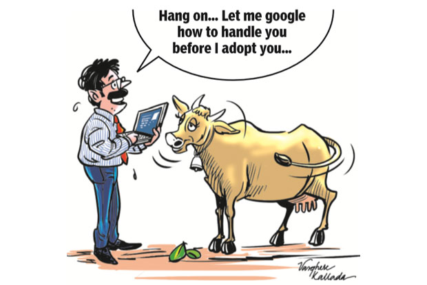 New breed of ‘cow protectors’ in city, thanks to Blue Cross
