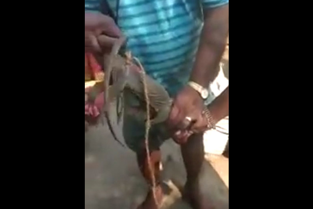 Two gypsies nabbed for selling monitor lizard blood