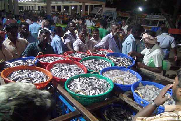 Small value notes pose big problem to fishermen
