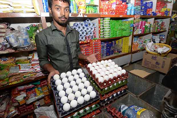 Egg prices down by 40 paise in four days at Namakkal