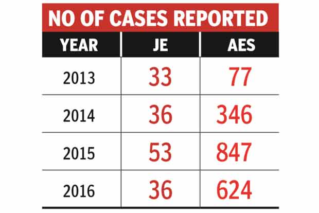 Japanese Encephalitis cases on rise: Experts