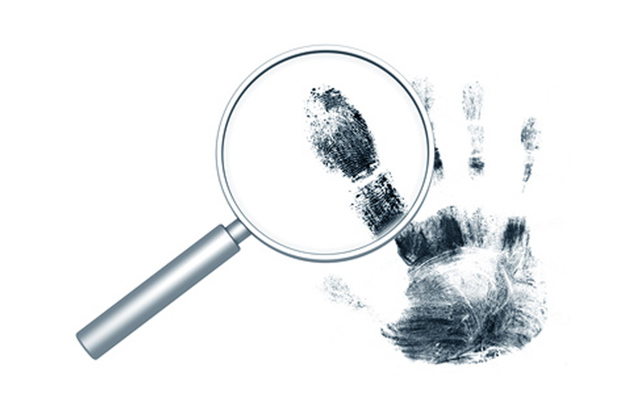 Mutilated body parts found at different areas in city