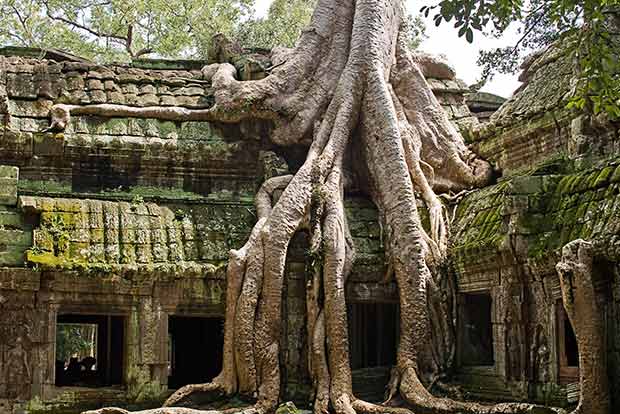 India starts 3rd phase of restoration of Ta Prohm temple in Cambodia