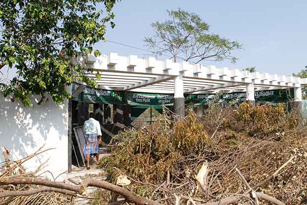 Corporation clears record 1.24 lakh tonnes of fallen trees, claims Minister S P Velumani