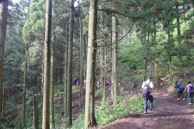 Reprimanded students walk into forest; saved after 15 hours