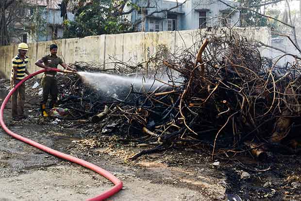 Dried trees in dump yards may pose fire risk: PMK