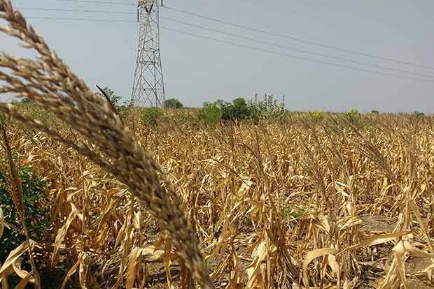 Not a single farmer death in Tiruchy: Natarajan