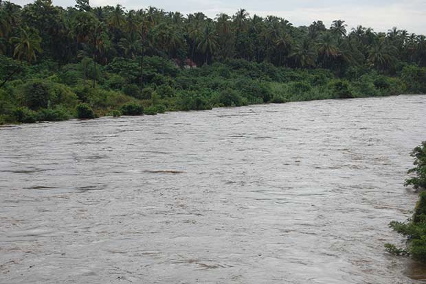 Flood alert issued along Bhavani river as inflows surge due to heavy rains
