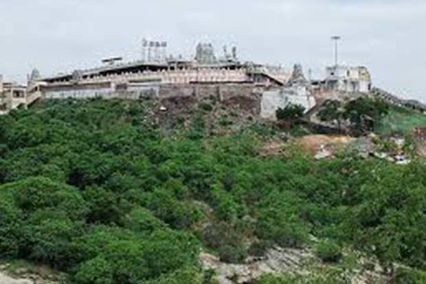 High Court: Evict traders from Palani girivalam path